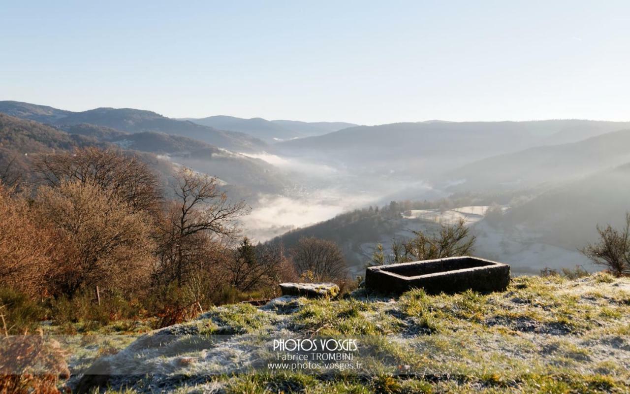 Gite Rose Andree Saulxures-sur-Moselotte Dış mekan fotoğraf