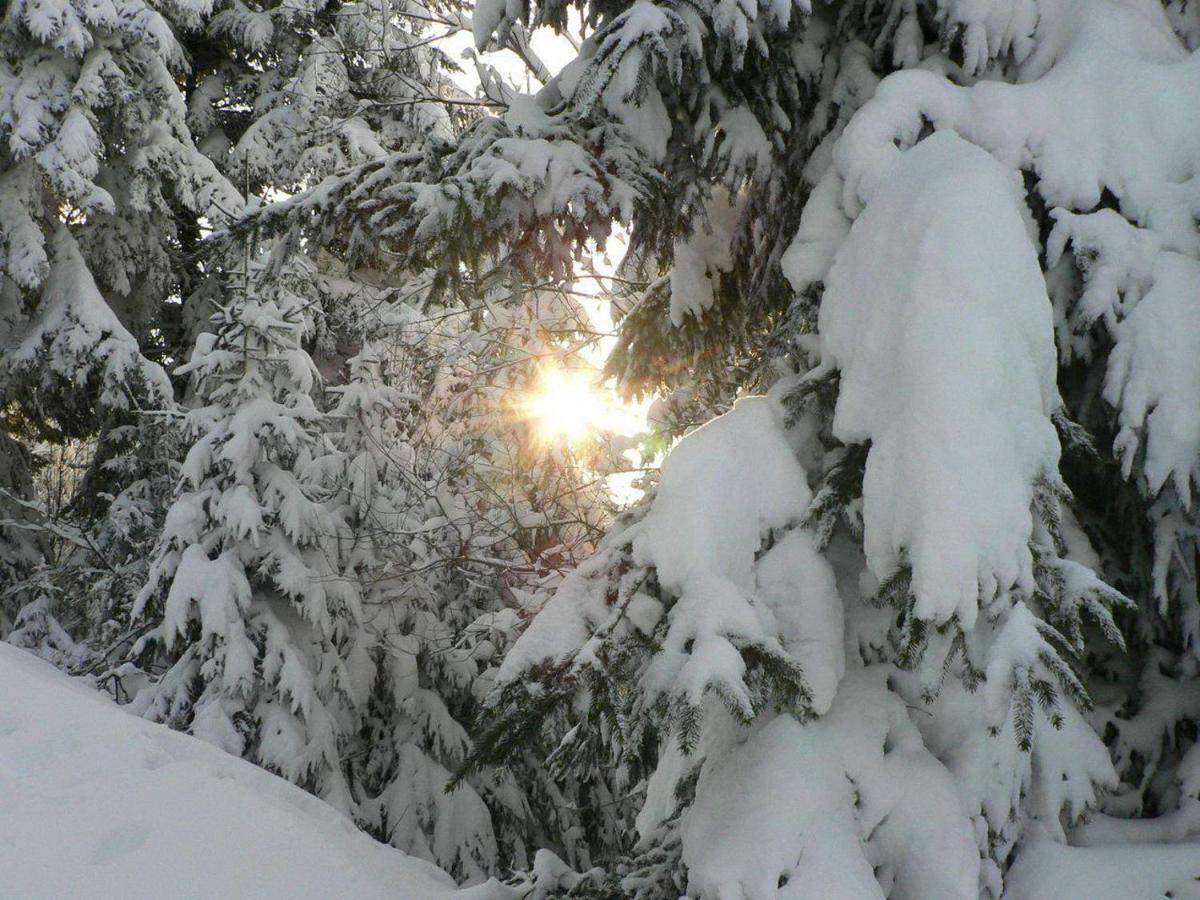 Gite Rose Andree Saulxures-sur-Moselotte Dış mekan fotoğraf