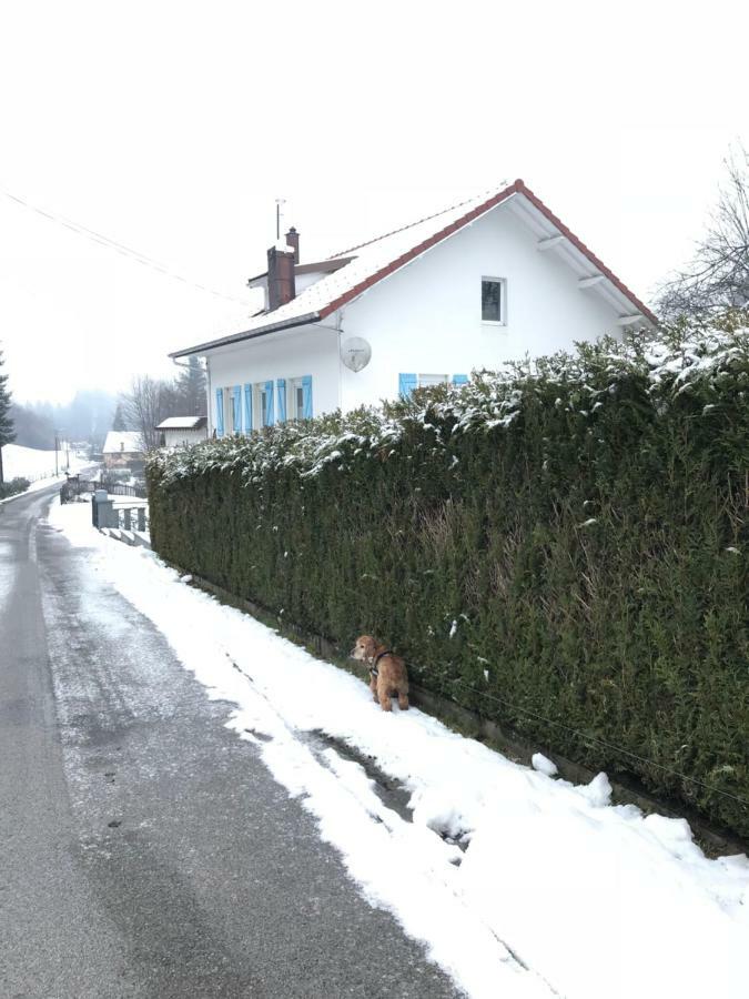 Gite Rose Andree Saulxures-sur-Moselotte Dış mekan fotoğraf