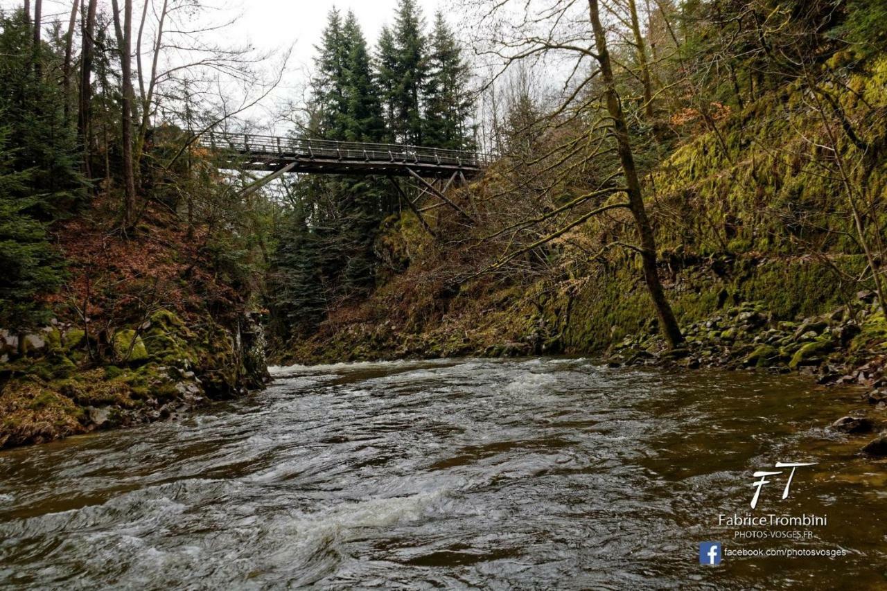 Gite Rose Andree Saulxures-sur-Moselotte Dış mekan fotoğraf